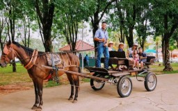 Apto Campo Belo Resort